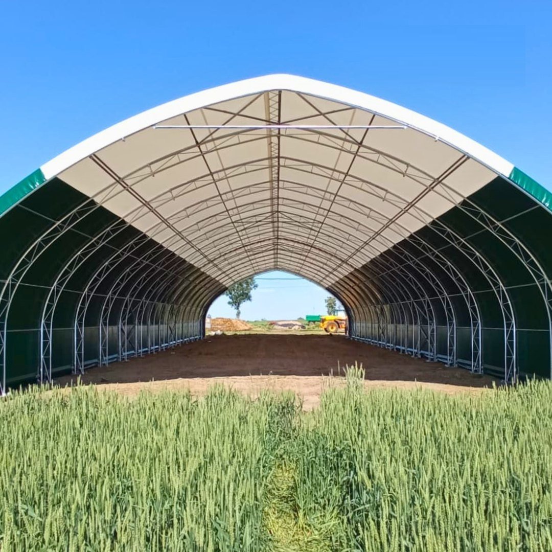 490238885_1246421837490241_4959058338441255611_n