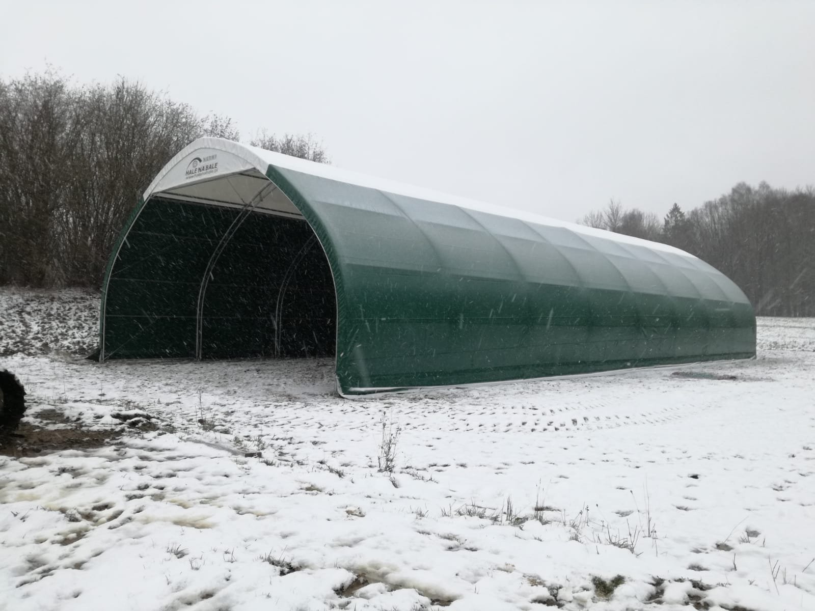 IMG-20211201-WA0005-2