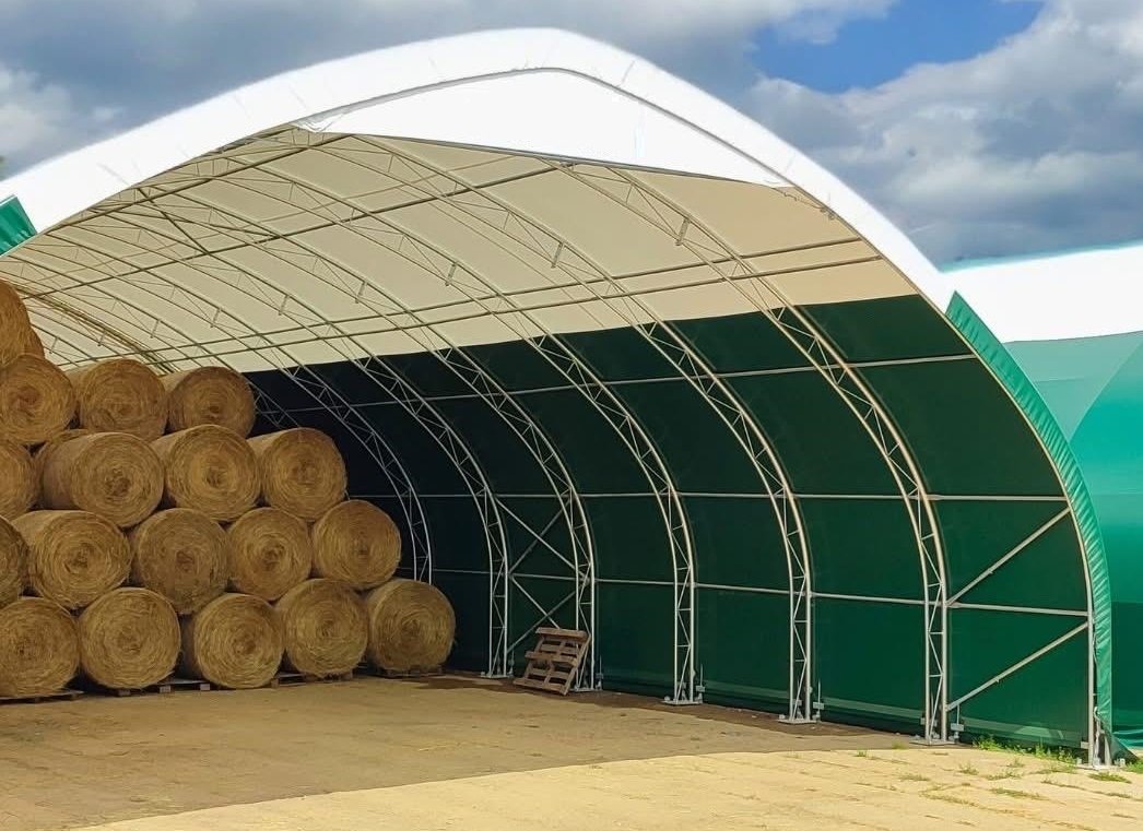 IMG-20250904-WA0022 no logo