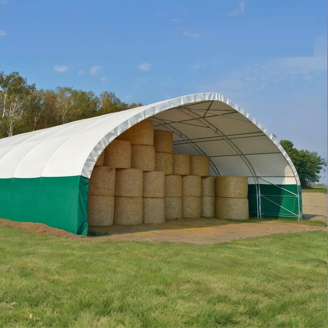 IMG-20250904-WA0024 no logo