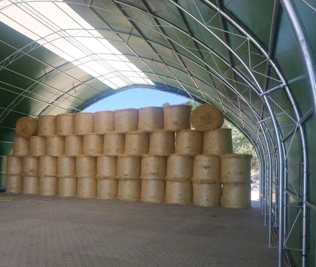 IMG_20190704_150554-1-e1702599647491