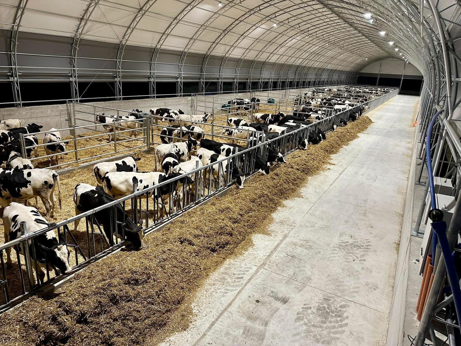 WhatsApp Image 2025-09-04 at 14.11.28_4255c3ae