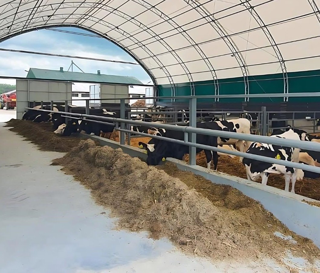 WhatsApp Image 2025-09-04 at 14.11.28_7515add7