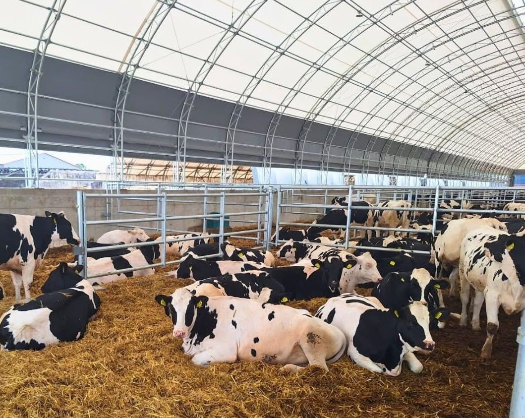 WhatsApp Image 2025-09-04 at 14.11.28_99451639